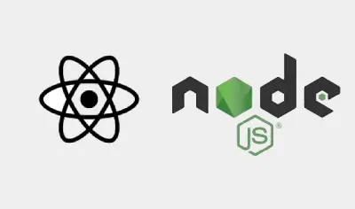 ReactJS with Node.js