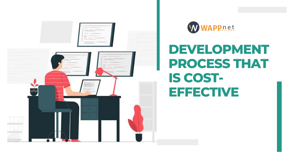 Development Process That Is Cost-Effective