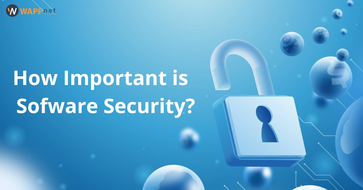 How Important is Sofware Security?