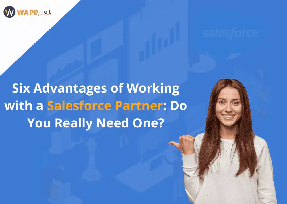 Six Advantages of Working with a Salesforce Partner: Do You Really Need One?