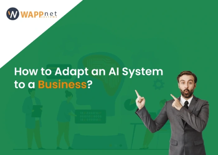 How to Adapt an AI System to a Business?